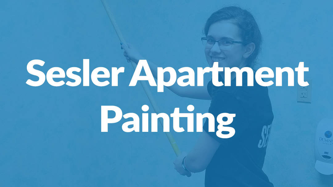 Sesler Apartment Painting